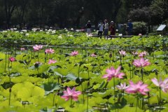 <b>今日大暑【活动板房】</b> <b>今日大暑【活动板房】</b>